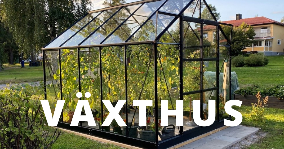 Växthus säsong! Växthus säsong!