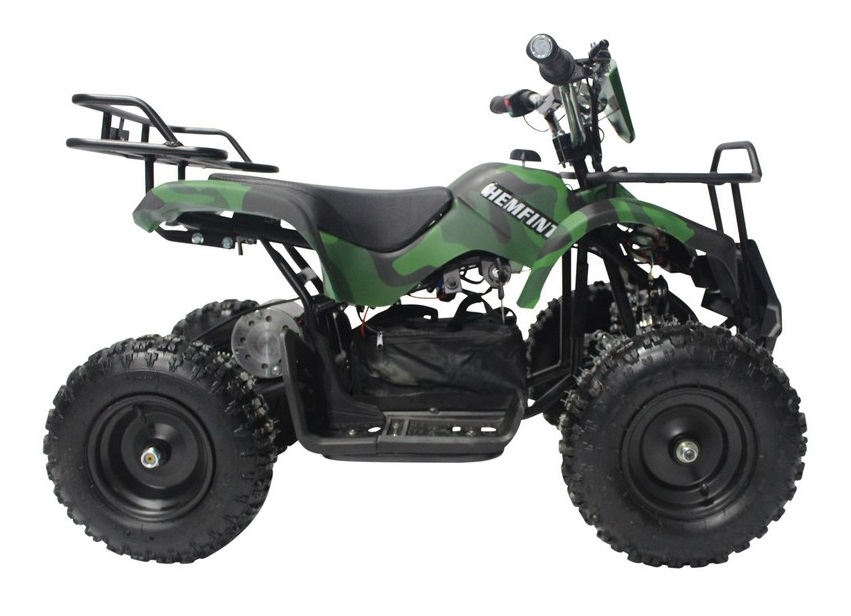 Elektrisk Mini-Fyrhjuling - 800W