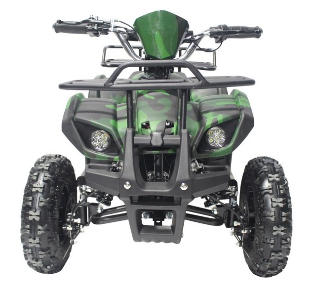 Elektrisk Mini-Fyrhjuling - 800W