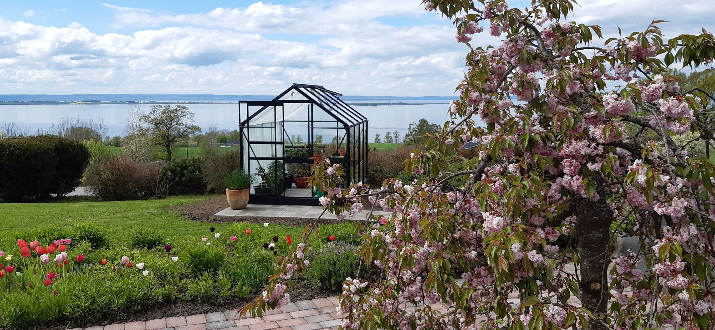 Växthus Neptunus - 5 m² + Växthusrengöring Växthus Neptunus - 5 m² + Växthusrengöring