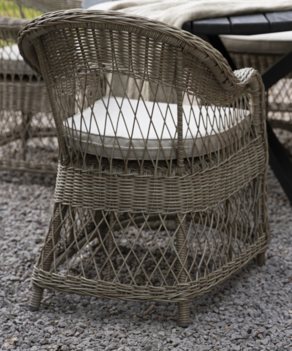 Marbella rottingftlj - Natur