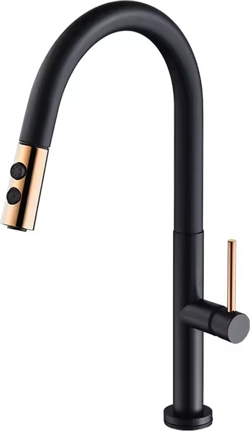 Köksblandare Tulip - Svart/guld Köksblandare Tulip - Svart/guld