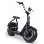 Elektroroller Fatbike - Schwarz 1000W
