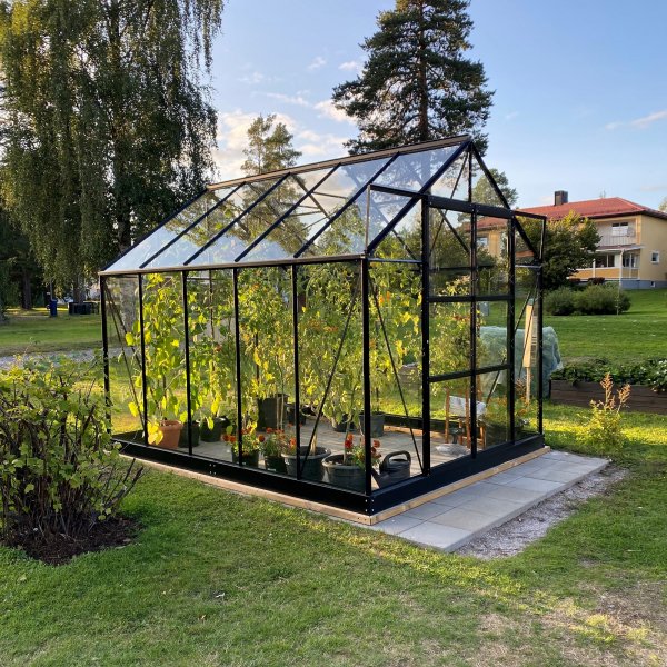 Gewächshaus Neptun 8 m² Gardeney - Gehärtetes Glas & Aluminium + Gewächshausreinigung Juliana - Bio Clean Glasreiniger Gewächshaus Neptun 8 m² Gardeney - Gehärtetes Glas & Aluminium + Gewächshausreinigung Juliana - Bio Clean Glasreiniger