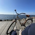 Kundbild Cykel Classic 28