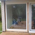 1 st fast glas panorama Fast fönster 2-glas - PVC