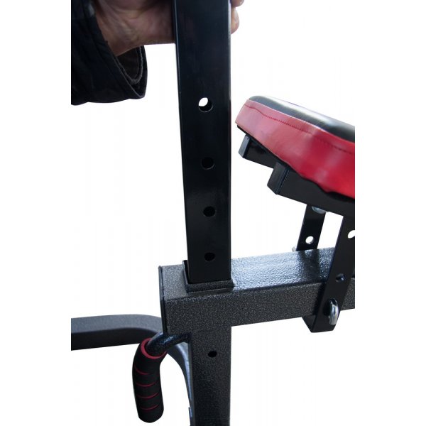 Stllbar trningsbnk med curlstation 1001