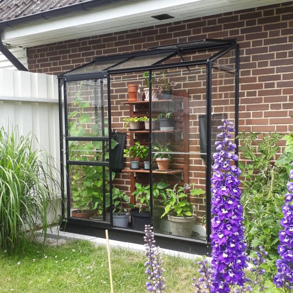 V�ggv�xthus Pluto 1,3 m� h�rdat glas svart ram Gardeney + V�xthusbord