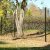 Villast�ngsel 100 cm h�gt | 100 meter | Komplett paket