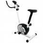 Heimtrainer 4kg Schwungrad - Trekkrunner TD001X-20