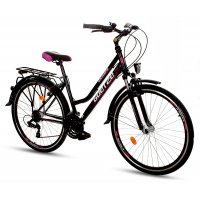 Mountainbike Gemini 28 Mountainbike Gemini 28