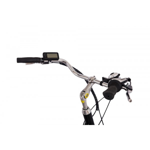 Dreirad-Elektrofahrrad mit 7 Gängen - 250 W Dreirad-Elektrofahrrad mit 7 Gängen - 250 W