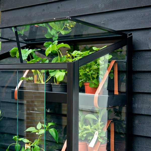 V�xthus City Green House