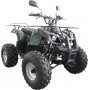 Quad - 125 ccm