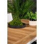 Dotorp Matgrupp (160x90) - Vit/Natur - 4 Stolar