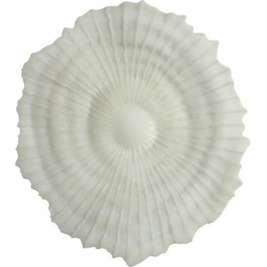 Korall v�ggdekoration D 48 cm - Ljus