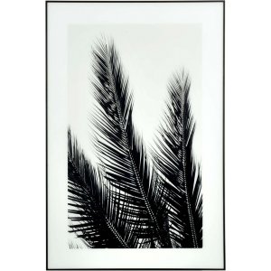 Glastavla 120x80 cm