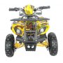 Elektrisches Mini-Quad - 800W