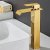Tvttstllsblandare Orchid - Hg pip | Guld