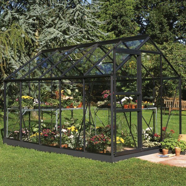 Vxthus Popular 6,2 m - Svart med hrdat glas