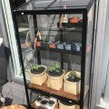 Kundbild V�xthus City Green House: N�jd ?