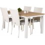 Dotorp Matgrupp (160x90) - Vit/Natur - 4 Stolar