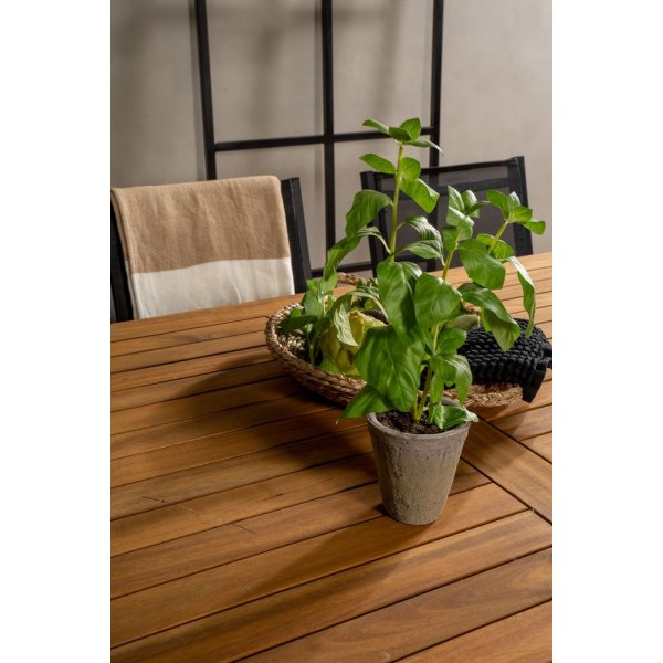 Charlottenberg spisegruppe (220x100) - Sort/Natur - 6 Stole Charlottenberg spisegruppe (220x100) - Sort/Natur - 6 Stole