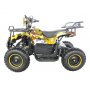 Elektrisches Mini-Quad - 800W