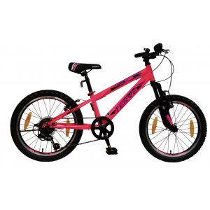 Mountainbike Rock 20" � Rosa