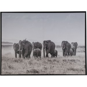 Tavla Elefanter - 80x60 cm