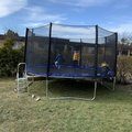 Kundenbilder Gro�es Trampolin 425 cm mit Sicherheitsnetz - UV-best�ndig