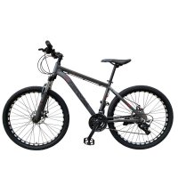 Mountainbike Bicystar 29 Mountainbike Bicystar 29