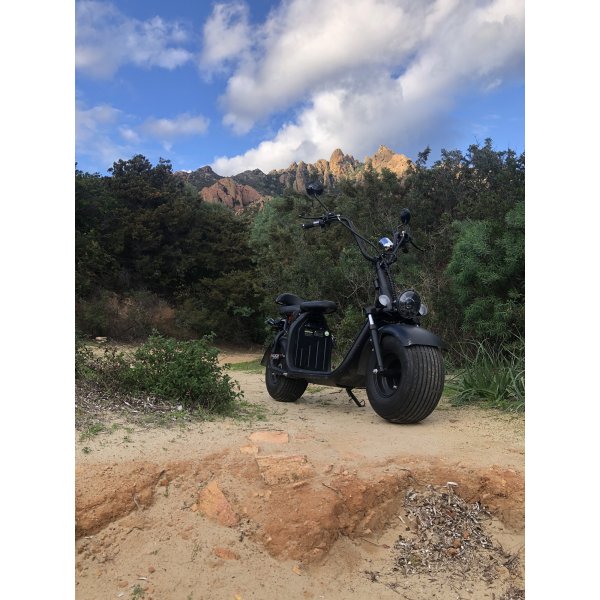 Elektroroller 1500W Moped Klasse 1 - Schwarzes Elektromoped + Schlosskette