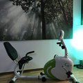 Kundebillede Motionscykel R9259 - Liggende (recumbent)