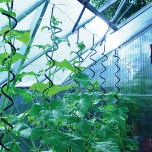 Pflanzenspirale für Gewächshäuser - 3er-Pack Gewächshauszubehör Pflanzenspirale für Gewächshäuser - 3er-Pack Gewächshauszubehör