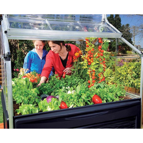 Miniväxthus Plant In -1,3 m² Miniväxthus Plant In -1,3 m²