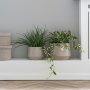 Gr�s konstv�xt - H:45 cm - Gr�n