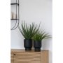 Aloe Vera konstv�xt - H:51 cm - Gr�n