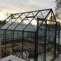 Magnum grönlackat Växthus Magnum - 8,3 m²