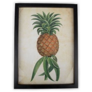 Tavla Ananas 40x30 cm