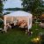 Partyt�lt 3�6 m med v�ggar | Vit