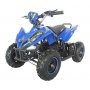 Elektrisk mini-ATV - 800W + Lse kde