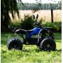 Fyrhjuling - 1000W